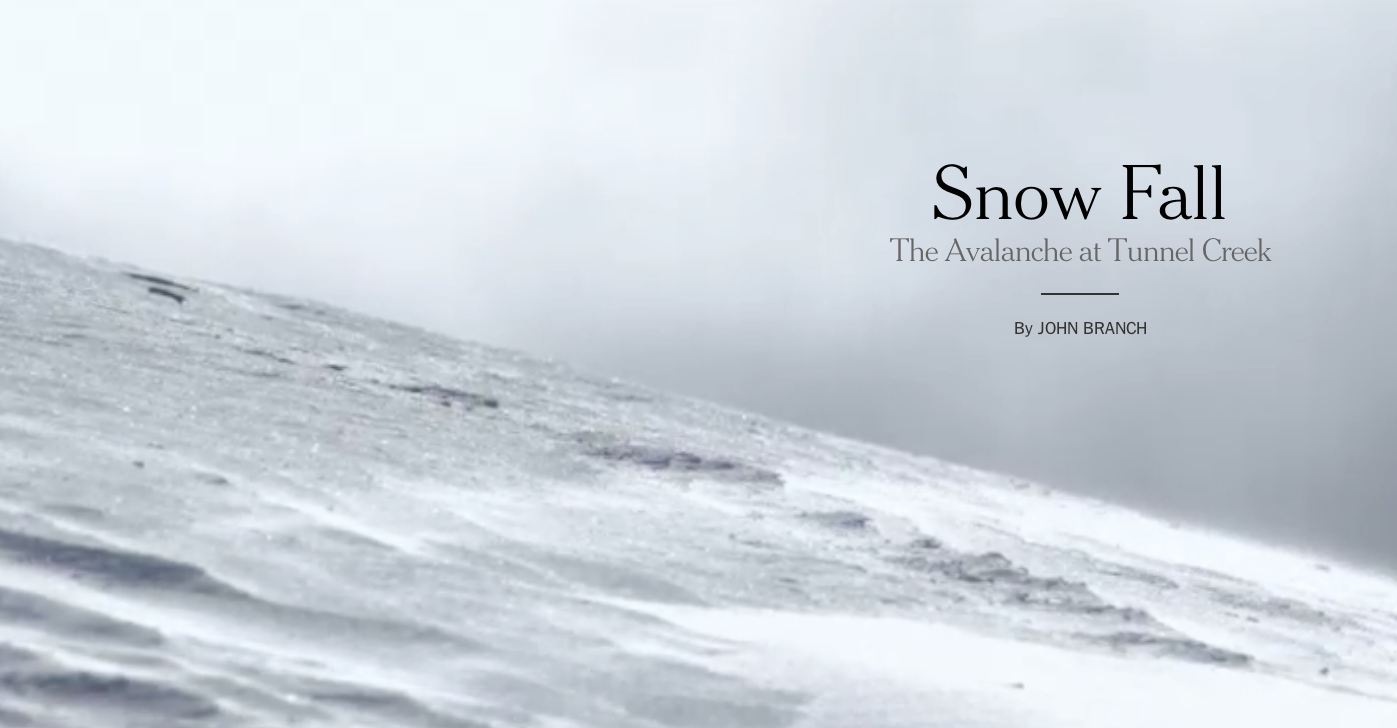 A Complete Recap of the Avalanche at Tunnel Creek